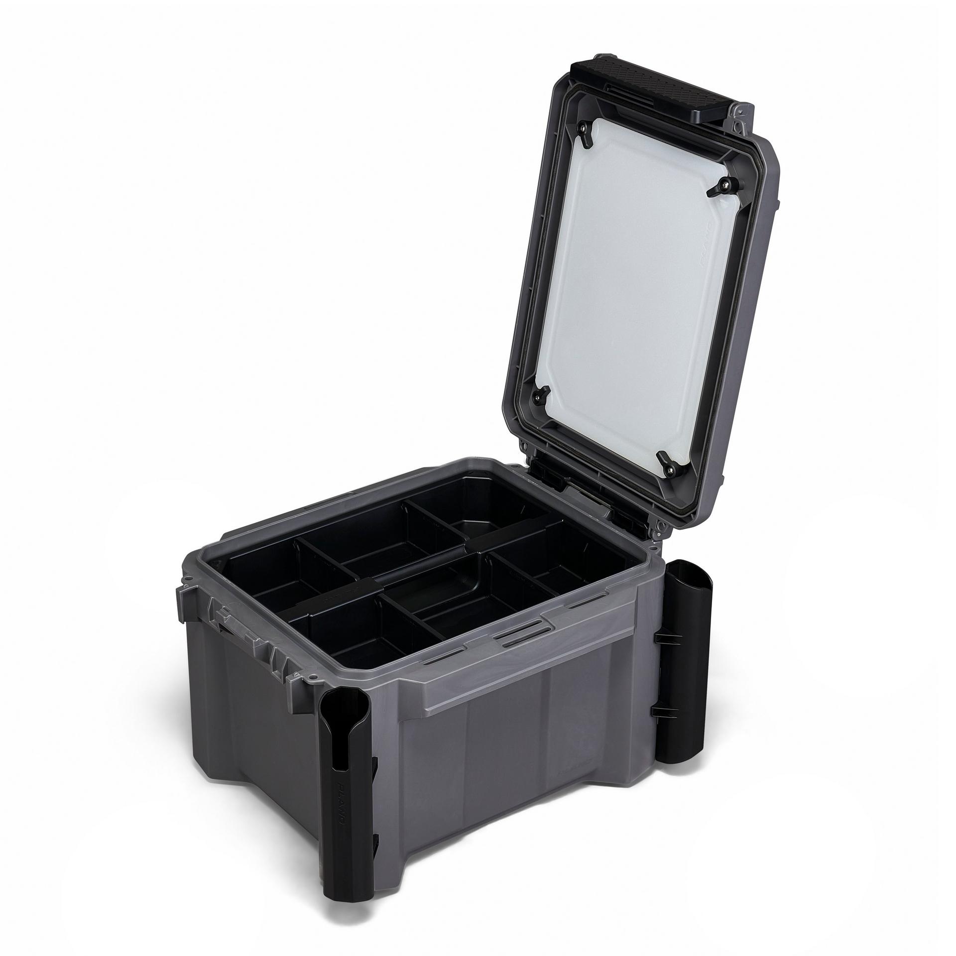 GoNow? 30L Freshwater Fish Kit - Image 5